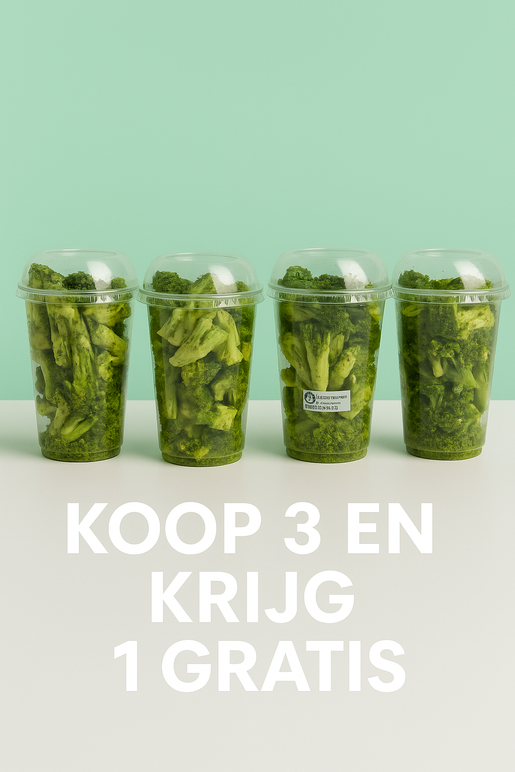 4 pakjes gedroogde broccoli - Delixo 